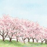 大阪のお花見スポットまとめ｜実際に歩いて選んだ春のおすすめ名所