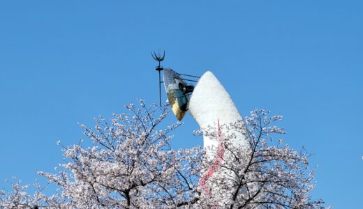 桜・チューリップ・菜の花！万博記念公園でお花見