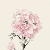 家の桜