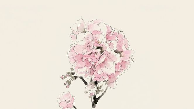 家の桜