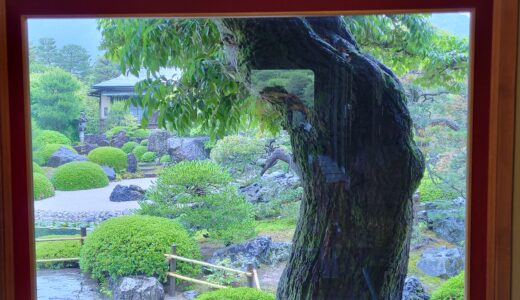 島根旅2日目。雨が彩る美しき神社巡りと、絵画のような日本庭園