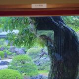 雨の島根観光モデルコース｜八重垣神社の鏡の池占い・国宝 神魂神社・足立美術館の庭園
