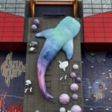 孫連れ大阪モデルコース｜1歳と回った2日間の回り方【天王寺動物園・道頓堀・海遊館】