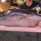 マグロの解体ショー