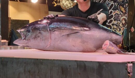 和歌山を日帰りで満喫！黒潮市場のマグロ解体ショーと紀州東照宮【南海サザンで行く欲ばり旅】